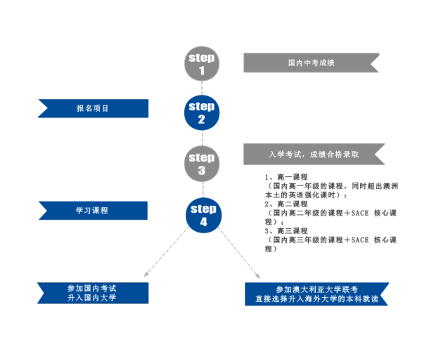 中澳项目学生升学路径图